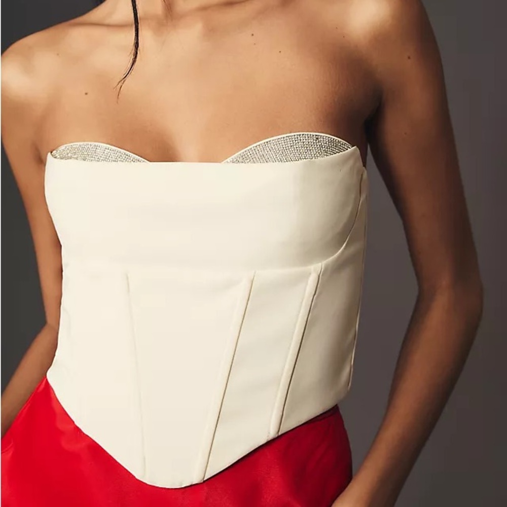 Astr The Label Shanna Strapless Corset Top — Never Worn